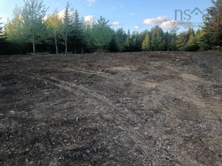 Photo 6: Lot 10 Conquerall Road in Conquerall Mills: 405-Lunenburg County Vacant Land for sale (South Shore)  : MLS®# 202219078