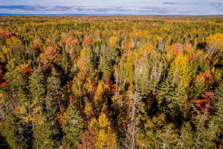 Photo 8: Lot 11 Huntington Point Road in Mountain Front: Kings County Vacant Land for sale (Annapolis Valley)  : MLS®# 202300804