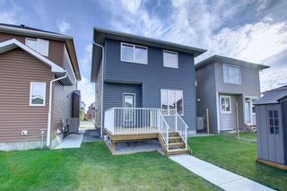 Photo 35: 508 Redstone Drive NE in Calgary: Redstone Detached for sale : MLS®# A2002884