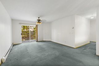 Photo 7: 204 55 Arbour Grove Close NW in Calgary: Arbour Lake Apartment for sale : MLS®# A2053299
