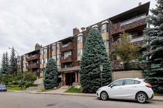 Photo 31: 310 3730 50 Street NW in Calgary: Varsity Apartment for sale : MLS®# A1148662