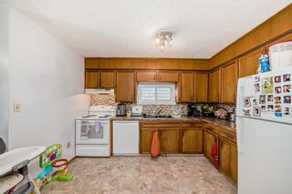 Photo 5: 1028 Mckinnon Drive NE in Calgary: Mayland Heights Detached for sale : MLS®# A2127341