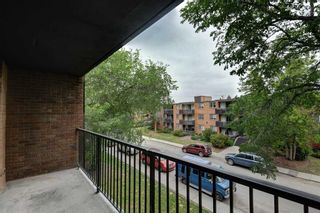 Photo 22: 312 515 57 Avenue SW in Calgary: Windsor Park Apartment for sale : MLS®# A2053901