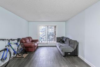 Photo 11: 203 20 Dover Point SE in Calgary: Dover Apartment for sale : MLS®# A1152591