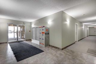 Photo 3: 206 5720 2 Street SW in Calgary: Manchester Apartment for sale : MLS®# A2106393