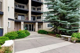 Photo 29: 1307 4975 130 Avenue SE in Calgary: McKenzie Towne Apartment for sale : MLS®# A1242456