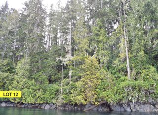 Photo 8: Lot 12 & 14 Pearse Island in See Remarks: Isl Small Islands (North Island Area) Land for sale (Islands)  : MLS®# 898508