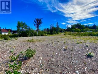 Photo 24: 67 Road to The Isles in Lewisporte, NL: Vacant Land for sale : MLS®# 1250291