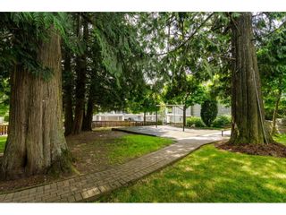Photo 34: 128 20449 66 Avenue in Langley: Willoughby Heights Townhouse for sale in "NATURES LANDING" : MLS®# R2705638