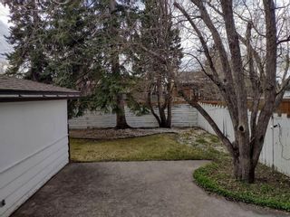 Photo 13: 3641 10th Street SW in Calgary: Elbow Park Detached for sale : MLS®# A1220475