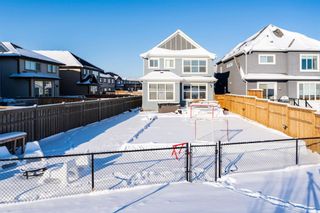 Photo 48: 17 Masters Terrace SE in Calgary: Mahogany Detached for sale : MLS®# A1185317