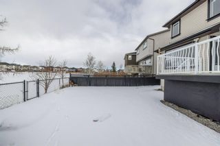 Photo 41: 15 Martha’s Way NE in Calgary: Martindale Detached for sale : MLS®# A1186356