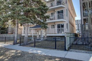 Main Photo: 101 215 17 Avenue NE in Calgary: Tuxedo Park Apartment for sale : MLS®# A2122980