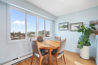 Photo 11: 35 4915 8 Street SW in Calgary: Britannia Apartment for sale : MLS®# A2124067