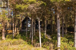 Photo 39: 1285 Lynn Rd in Tofino: House for sale : MLS®# 961101