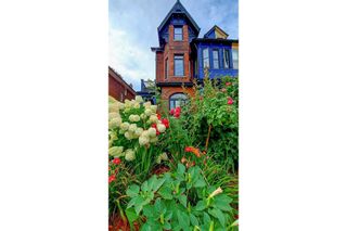 Photo 22: Lower 10 Sylvan Avenue in Toronto: Dufferin Grove House (3-Storey) for lease (Toronto C01)  : MLS®# C5508941