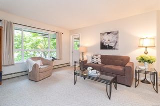 Photo 4: 205 10110 Fifth St in Sidney: Si Sidney North-East Condo for sale : MLS®# 961969