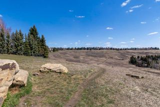 Photo 40: 28 Edenstone View NW in Calgary: Edgemont Detached for sale : MLS®# A2124694