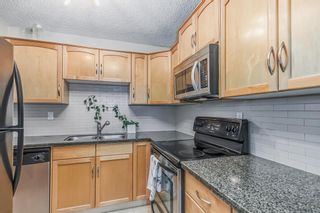 Photo 9: 501 1123 13 Avenue SW in Calgary: Beltline Apartment for sale : MLS®# A2041508