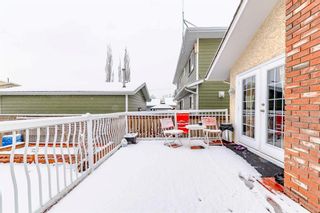 Photo 34: 4720 60 Street NE in Calgary: Temple Detached for sale : MLS®# A2123494
