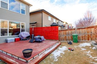 Photo 40: 382 Evanston Drive NW in Calgary: Evanston Detached for sale : MLS®# A1177812