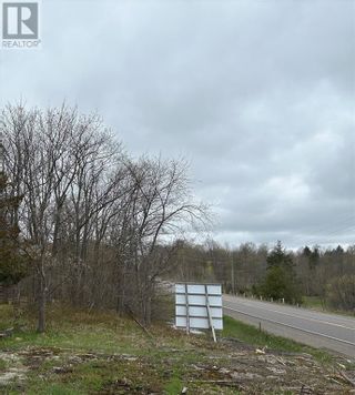 Photo 17: 1382 COUNTY ROAD 36 ROAD in Bobcaygeon: Vacant Land for sale : MLS®# 1339750