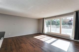 Photo 19: 307 903 19 Avenue SW in Calgary: Lower Mount Royal Apartment for sale : MLS®# A1152500