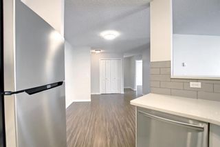 Photo 18: 1112 6635 25 Avenue NE in Calgary: Pineridge Apartment for sale : MLS®# A1177665