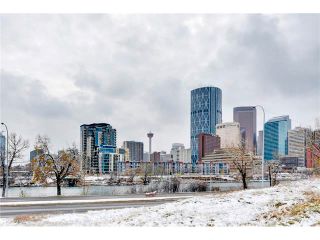 Photo 25: 302 414 MEREDITH Road NE in Calgary: Crescent Heights Condo for sale : MLS®# C4039289