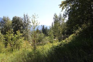 Photo 12: 26 2481 Squilax Anglemont Road: Lee Creek Land Only for sale (Shuswap)  : MLS®# 10116283
