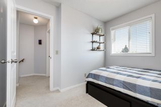 Photo 16: 137 Coventry Place NE in Calgary: Coventry Hills Detached for sale : MLS®# A2033662
