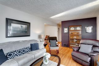 Photo 8: 855 13 Avenue NE in Calgary: Renfrew Detached for sale : MLS®# A1064139