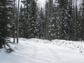 Photo 44: 8235 Glenwood Drive Drive in Edson: Glenwood Country Residential for sale : MLS®# 30297