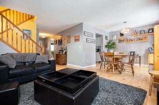 Photo 17: 309 Thibault Street in Winnipeg: St Boniface Residential for sale (2A)  : MLS®# 202008254