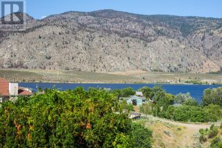 Photo 39: 8507 92ND Avenue in Osoyoos: House for sale : MLS®# 200472