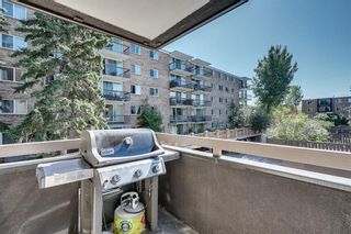 Photo 24: 201 511 56 Avenue SW in Calgary: Windsor Park Apartment for sale : MLS®# C4266284