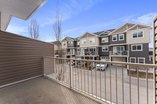 Photo 13: 53 Skyview Ranch Manor NE in Calgary: Skyview Ranch Row/Townhouse for sale : MLS®# A2123726