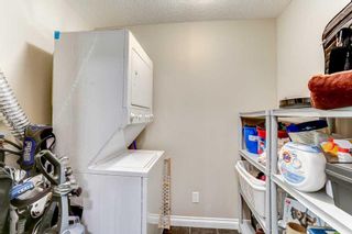 Photo 18: 302 6 Hemlock Crescent SW in Calgary: Spruce Cliff Apartment for sale : MLS®# A2127903