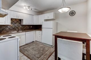 Photo 15: 4 927 19 Avenue SW in Calgary: Lower Mount Royal Apartment for sale : MLS®# A2054529
