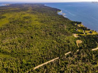 Photo 7: LOTS Blanche Road in Blanche: 407-Shelburne County Vacant Land for sale (South Shore)  : MLS®# 202319377