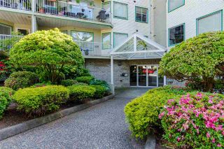 Photo 5: 306 19236 FORD ROAD in Pitt Meadows: Central Meadows Condo for sale : MLS®# R2461479