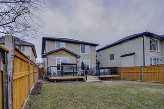 Photo 9: 795 Auburn Bay Heights SE in Calgary: Auburn Bay Detached for sale : MLS®# A2122912