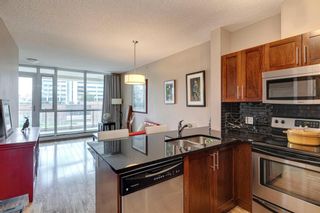 Photo 11: 208 325 3 Street SE in Calgary: Downtown East Village Apartment for sale : MLS®# A1235998