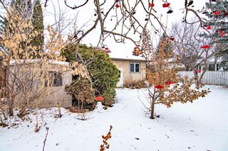 Photo 25: 71 Martin Close: Red Deer Detached for sale : MLS®# A2013697