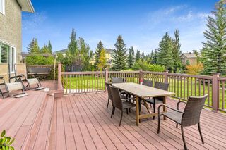 Photo 45: 339 Mt Sparrowhawk Place SE in Calgary: McKenzie Lake Detached for sale : MLS®# A2003077