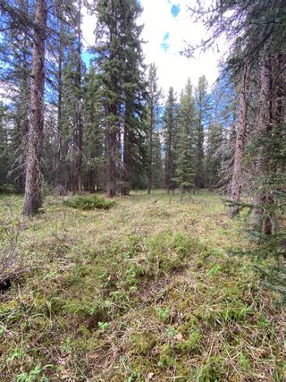 Photo 17: 18 32380 55 Range Road: Rural Mountain View County Residential Land for sale : MLS®# A2054433