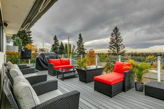 Photo 41: 183 Cardiff Drive NW in Calgary: Cambrian Heights Detached for sale : MLS®# A2086009