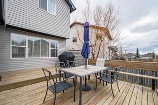 Photo 45: 145 Royal Birch Crescent NW in Calgary: Royal Oak Detached for sale : MLS®# A1205184