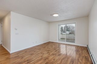 Photo 2: 2114 6224 17 Avenue SE in Calgary: Red Carpet Apartment for sale : MLS®# A2126709