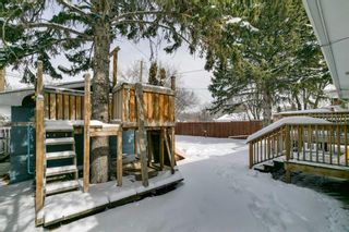 Photo 26: 1628 48 Avenue SW in Calgary: Altadore Detached for sale : MLS®# A2117007